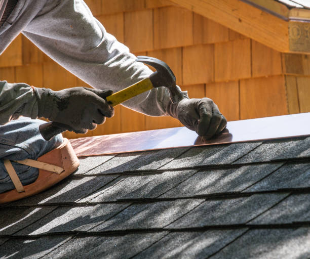 Roof Gutter Cleaning in Bement, IL